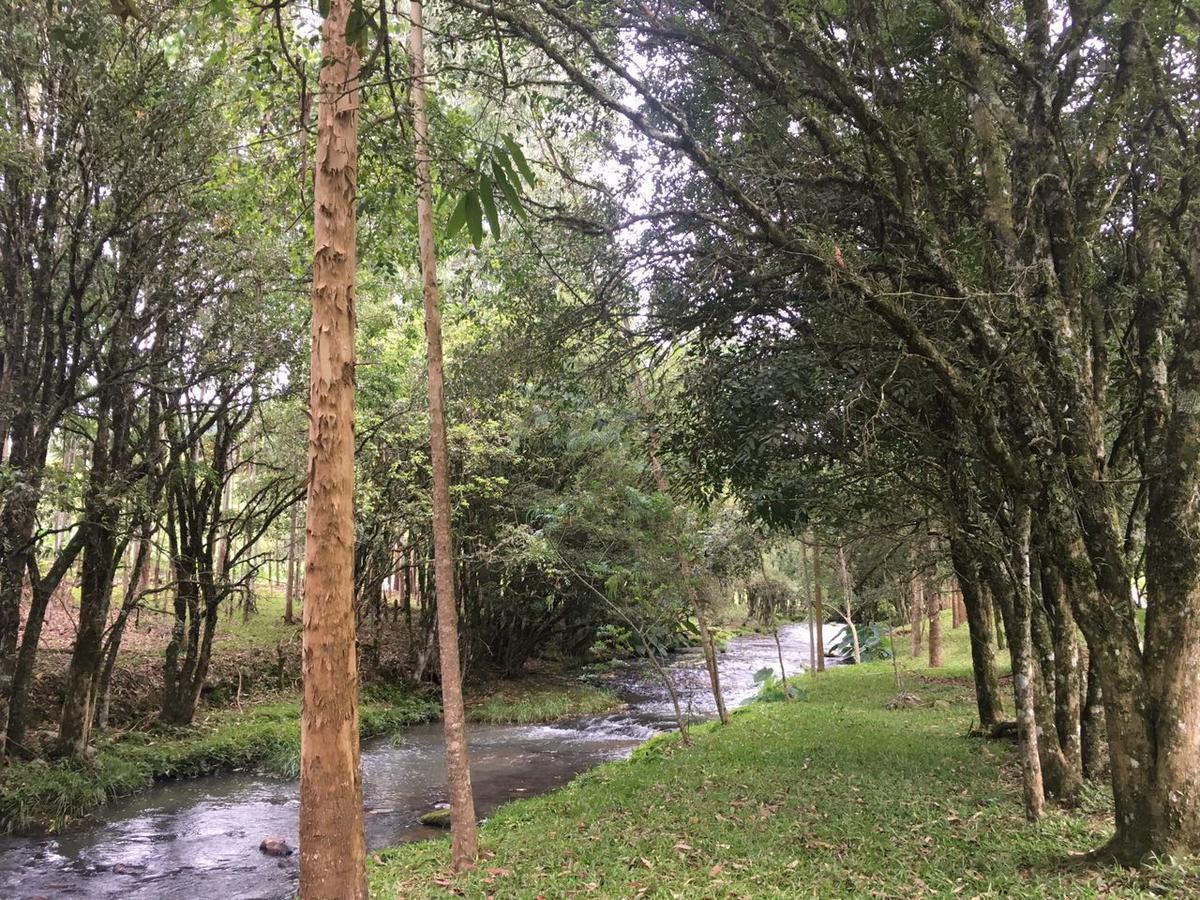 Cabana No Campo Caminho Do Salto Ventoso ファホウピーリャ エクステリア 写真