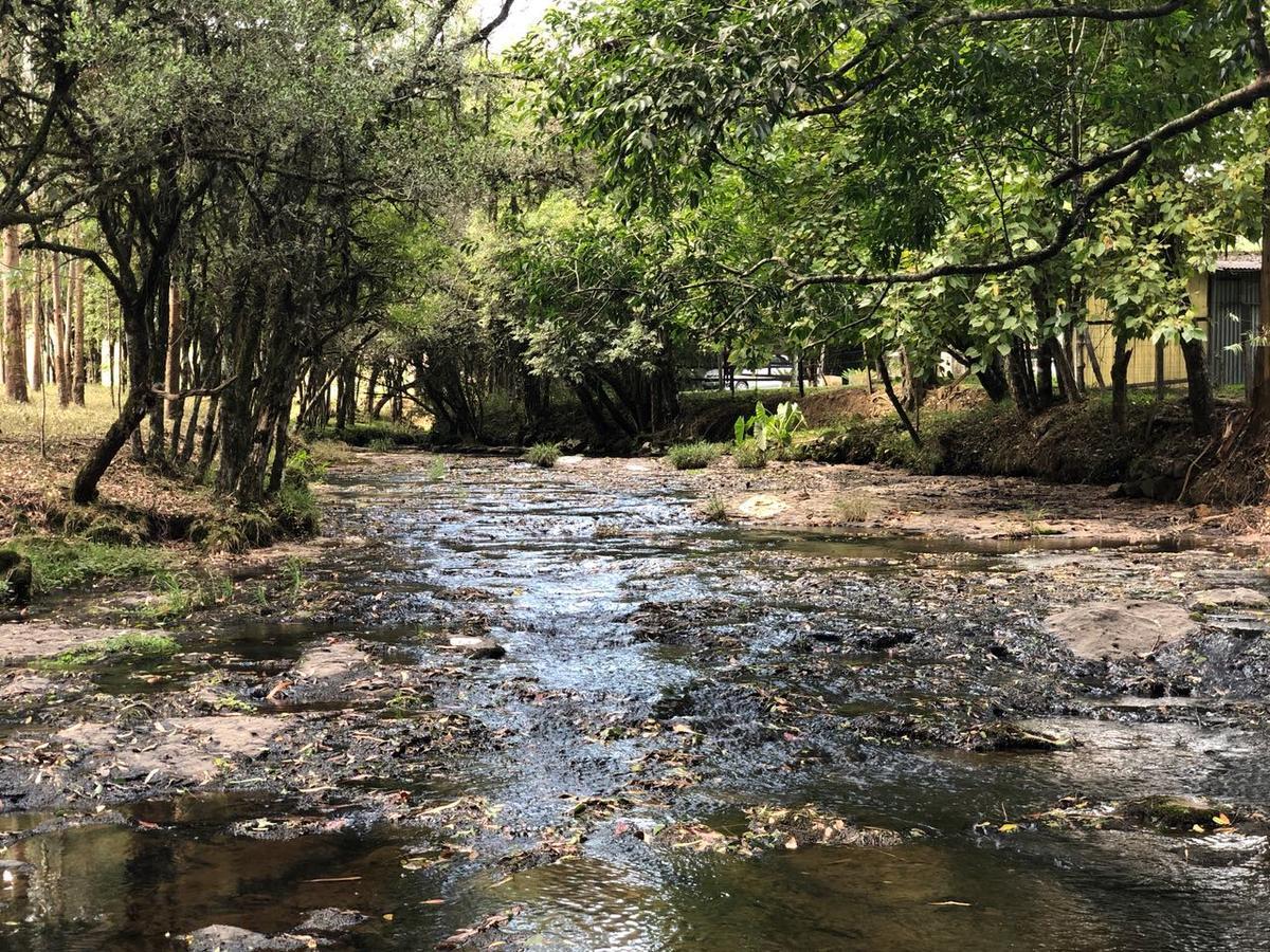 Cabana No Campo Caminho Do Salto Ventoso ファホウピーリャ エクステリア 写真